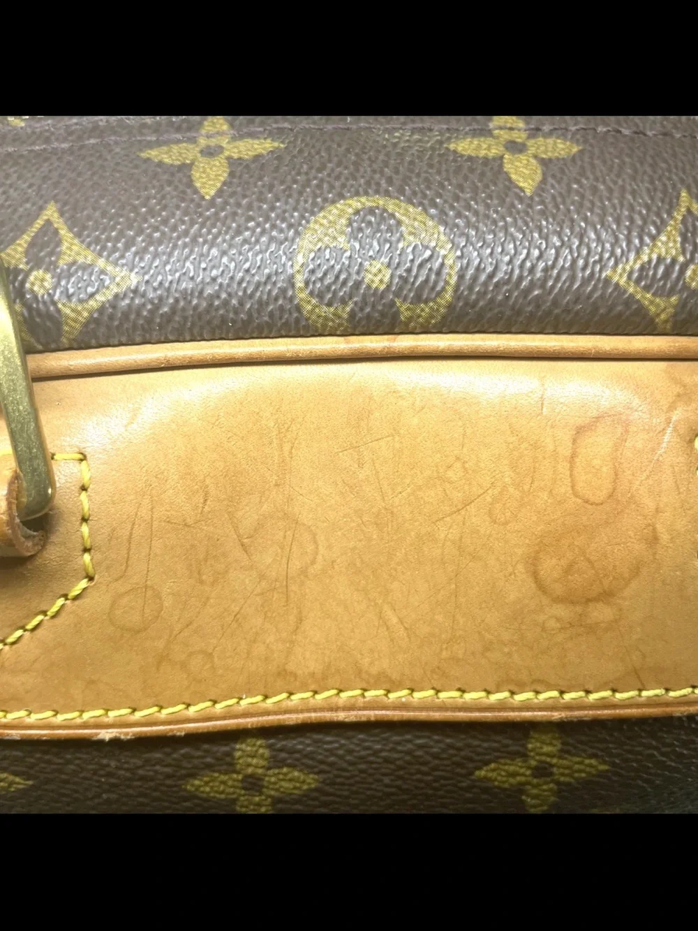 Louis Vuitton classic louis